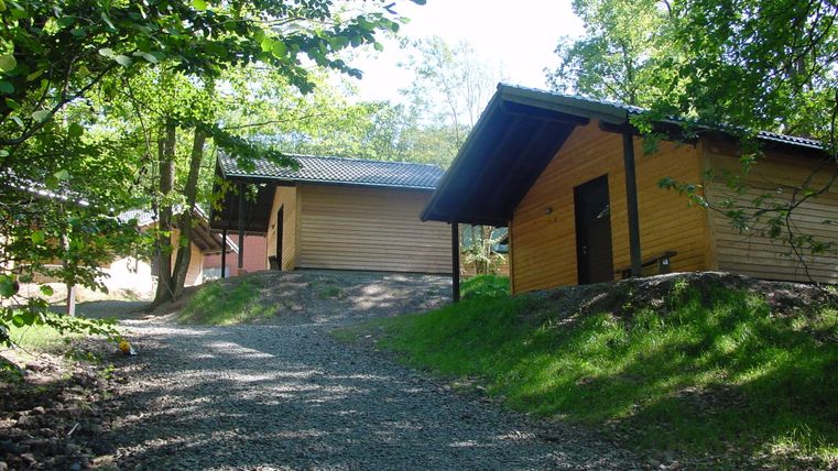 Twee houten hutten staan in het bos, omringd door bomen. Een grindpad loopt tussen de hutten door. De zon schijnt door het bladerdak.