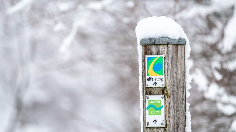 Een houten paal met Eifelsteig en Struffelt routebordjes, bedekt met sneeuw.