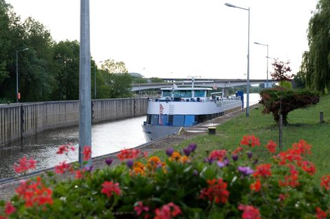 A ship sails through a canal, surrounded by a green landscape. In the foreground, colorful flowers are blooming.