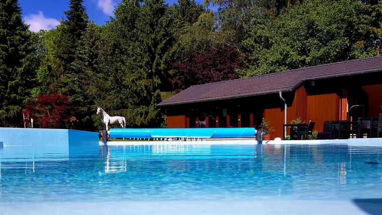 Ein klarer Pool umgeben von Bäumen und einer modernen Holzstruktur. Der Himmel ist blau und der Ort wirkt einladend und entspannend.