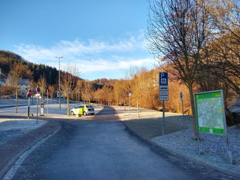 Een parklandschap met kale bomen en een blauwe lucht. Een politieauto staat langs de weg.
