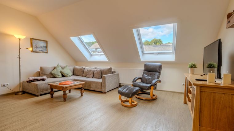 Ferienwohnung Feldmaus - Ein gemütliches Wohnzimmer mit einem bequemen Sofa und einem Fernseher. Zwei Dachfenster sorgen für viel Licht und Ausblick.