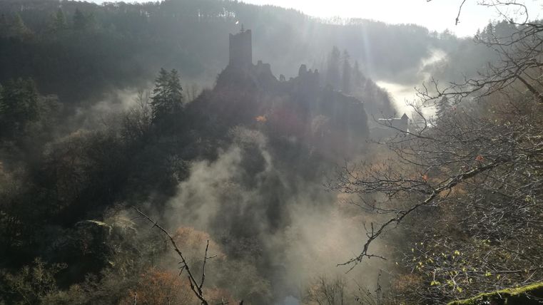 Eine mystische Burgruine in einer nebligen Landschaft. Die Sonne scheint durch den Dunst und schafft eine geheimnisvolle Atmosphäre.