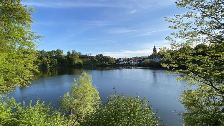 Een rustige meer omringd door weelderig groen en bomen. Op de achtergrond zijn huizen en een kerktoren zichtbaar.