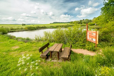 Het Eichholzmaar ligt midden in het groene landschap. Voorbij staat een bank met tafel. Daarnaast biedt een oranje bord informatie over de natuurhoogtepunten.