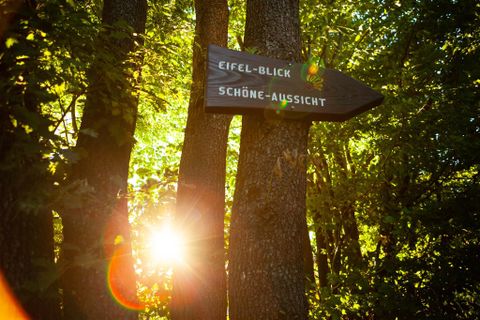 Ein Holzschild zeigt in Richtung "Eifel-Blick" und "Schöne Aussicht" zwischen Bäumen. Sonnenlicht scheint durch das Laub und sorgt für eine stimmungsvolle Atmosphäre.