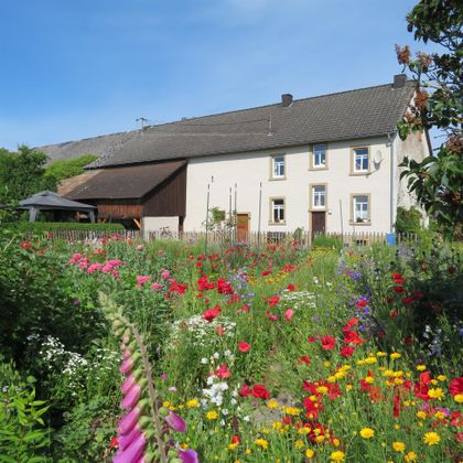 Ein schönes Haus umgeben von bunten Blumen. Der Garten blüht in lebhaften Farben unter einem klaren blauen Himmel.