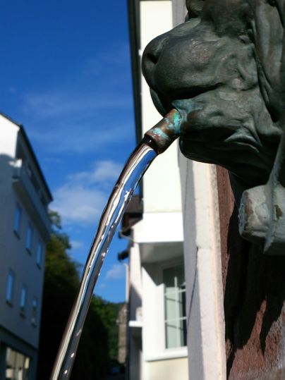 An artistic water fountain with a lion's head, from which water flows. In the background, historic buildings and a blue sky can be seen.