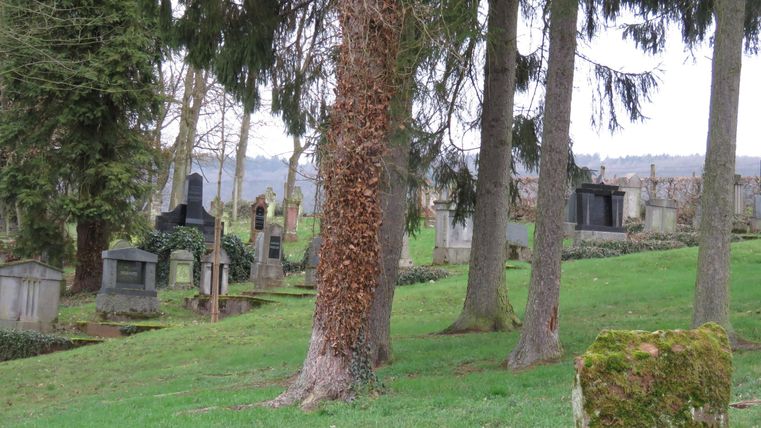 Ein ruhiger Friedhof mit Gräbern und hohen Bäumen. Der Rasen ist grün und die Atmosphäre ist friedlich.
