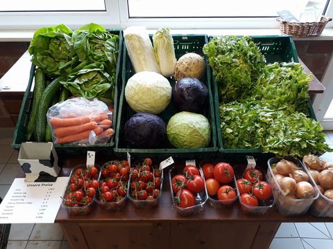 Ein frisches Angebot an Gemüse und Obst ist auf einem Tisch präsentiert. Zu sehen sind Salat, Kohl, Karotten und Tomaten in verschiedenen Körben.
