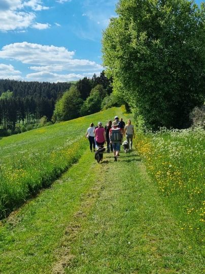 A group of people is hiking on a green path. The landscape is surrounded by trees and meadows, in beautiful weather and blue sky.