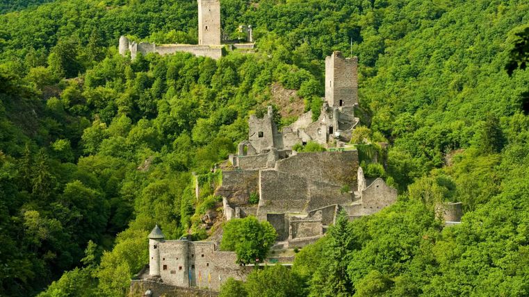 Eine beeindruckende Burgruine auf einem grünen Hügel. Im Hintergrund stehen weitere Türme und Bäume.