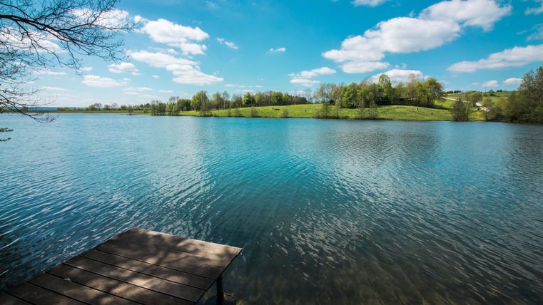 Ein ruhiger See mit klarem Wasser und vielen Bäumen am Ufer. Der Himmel ist blau mit einigen weißen Wolken.