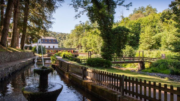 Ein ruhiger Garten mit einem kleinen Teich und einer Holzbrücke. Im Hintergrund sind grüne Bäume und ein Gebäude sichtbar.