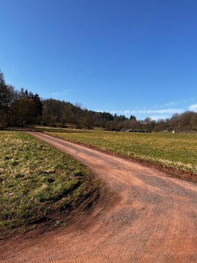 A winding path leads through a meadow under a clear blue sky. In the background, trees and gentle hills are visible.