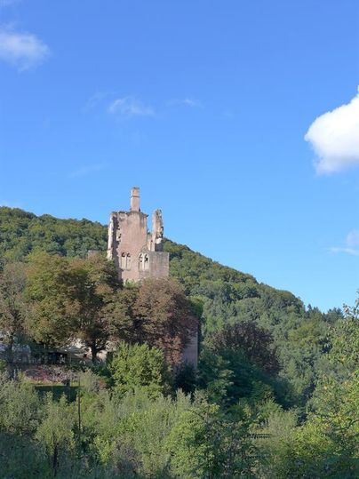 Een oude ruïne staat op een heuvel, omringd door bomen. De heldere blauwe lucht geeft het landschap een vreedzame sfeer.