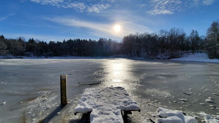 Ein schöner Wintertag an einem gefrorenen See. Die Sonnenschein reflektiert sich auf der Eisoberfläche und die Bäume sind mit Schnee bedeckt.