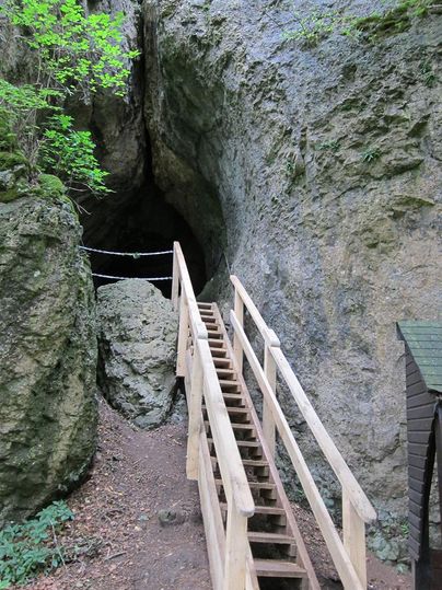 Eine Holztreppe führt zu einem dunklen Höhleneingang in einer steilen Felswand, umgeben von grüner Vegetation.