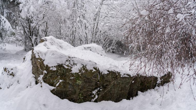Ein großer Stein ist mit Schnee bedeckt und steht in einer verschneiten Landschaft. Die Bäume im Hintergrund sind ebenfalls weiß von Schnee.