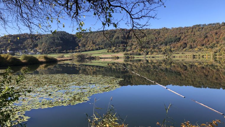 A quiet lake surrounded by gentle hills and colorful foliage. The sky is clear and reflects the landscape in the water.