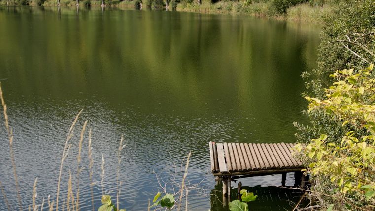 Ein ruhiger See mit einem Holzsteg und umgeben von grünen Pflanzen. Die Wasseroberfläche spiegelt die Umgebung wider.