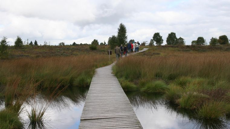 Ein Holzsteg führt durch eine Moorlandschaft mit hohem Gras und Wasserflächen. Im Hintergrund sind einige Personen zu sehen, die die Natur genießen.
