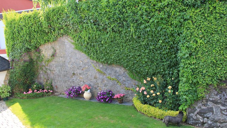 Ein gepflegter Garten mit einem begrünten Mauern und bunten Blumenbeeten. Das Gras ist frisch und grün, umgeben von einer ruhigen und einladenden Atmosphäre.