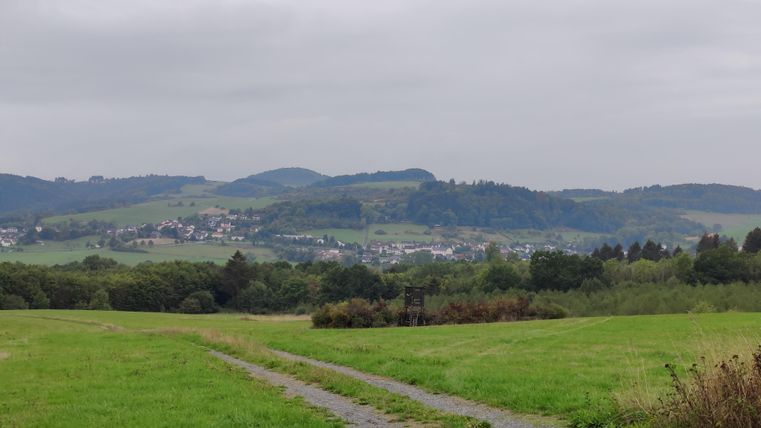 A green meadow with a gravel path and gentle hills in the background. The sky is cloudy and a peaceful landscape can be seen.
