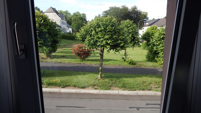 A view from a window onto a green landscape with small trees and a paved path. In the background, some houses can be seen.