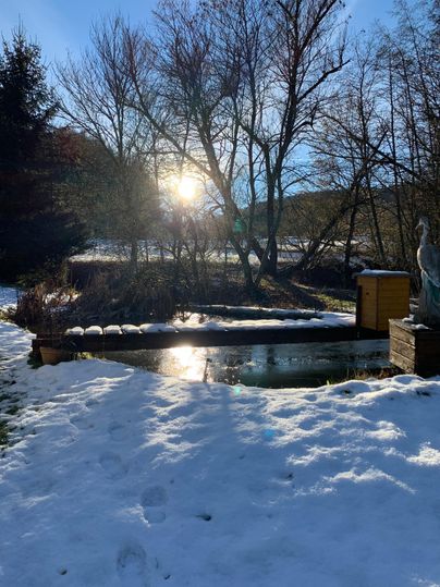A winter landscape with snow-covered ground and snow-covered trees. The sun shines brightly over a small pond.