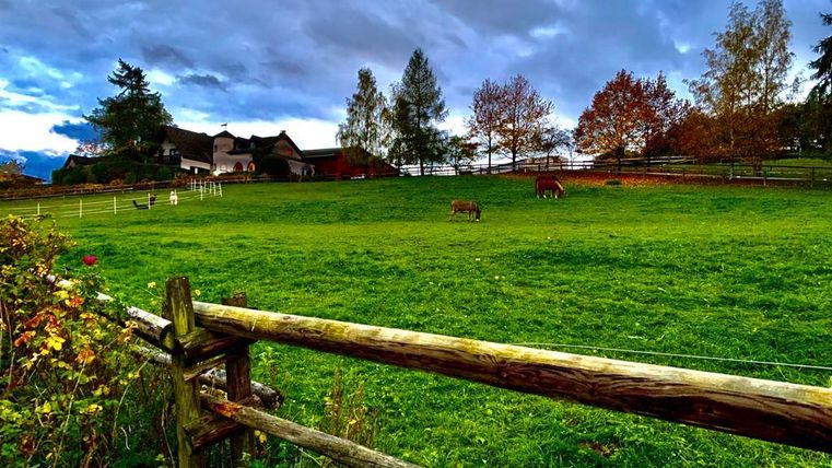 Eine weite Wiese mit grünem Gras und zwei Pferden, die grasen. Im Hintergrund sind Bäume im Herbstlaub und ein Bauernhaus zu sehen.