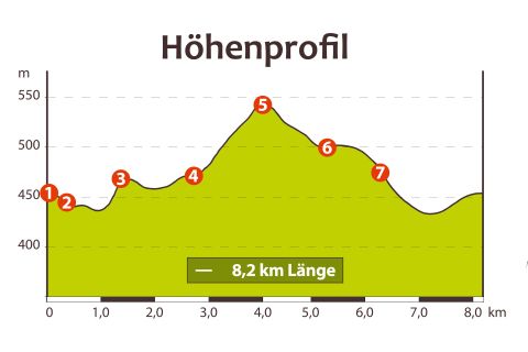 Ein Höhenprofil mit verschiedenen Steigungen und Gefällen. Die Strecke ist 8,2 km lang und zeigt Erhebungen bis zu 550 m.