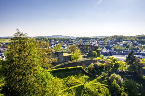 A picturesque view of a city with green hills and trees. In the background, several houses and a clear blue sky can be seen.