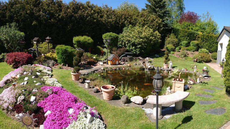 A beautiful garden with colorful flowers and a small pond. Our garden landscape is ideal for relaxation and enjoying nature.