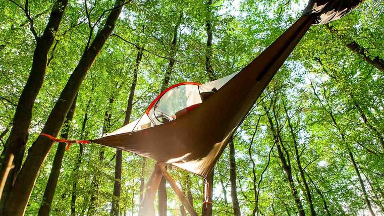 Boomtent in het bos