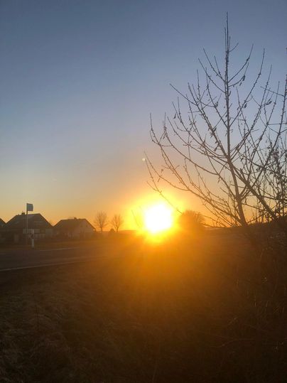 A beautiful sunrise behind trees, illuminating the sky in warm colors. In the foreground, silhouetted branches are visible.