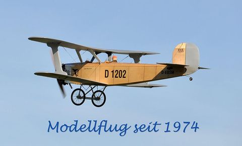 Ein historisches Modellflugzeug schwebt durch den klaren Himmel. Es trägt die Kennung D 1202 und hat eine ansprechende Holzoptik.