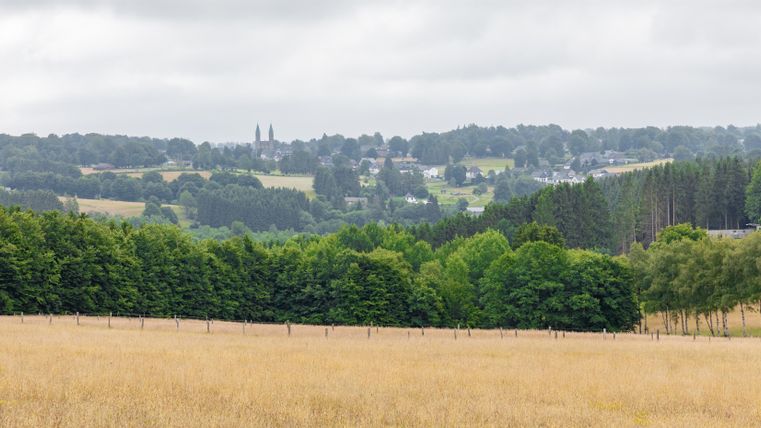 Eine hügelige Landschaft mit weiten Feldern und grünen Bäumen. Im Hintergrund sind kleine Dörfer unter einem bewölkten Himmel zu sehen.