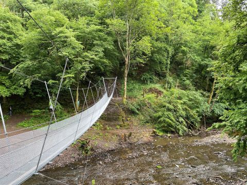 Een hangbrug loopt door een groen bos over een kleine rivier. De omgeving wordt gekenmerkt door dichte bomen en weelderige vegetatie.