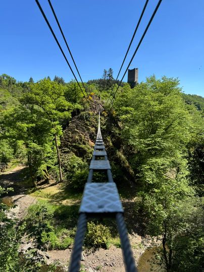 Een hangbrug voert over een bos met weelderig groen. Op de achtergrond is een oude toren zichtbaar.