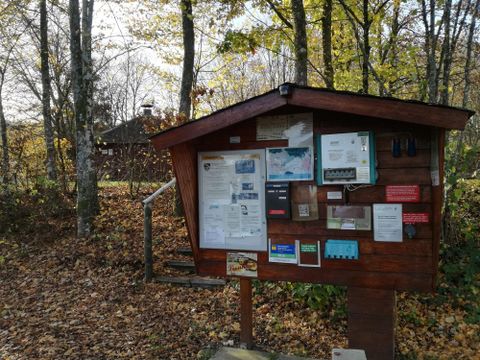 An informative wooden kiosk in the forest with various notices and information. Surrounded by colorful foliage and trees.