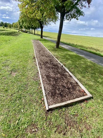 In Holz gefasstes Beet, welches mit Rindenmulch gefüllt ist, auf einer Wiese neben einem Gehweg und vereinzelten Bäumen.
