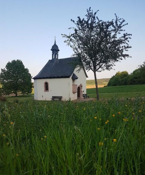 Eine kleine Kapelle steht in einer grünen, blühenden Wiese. Im Hintergrund sind Bäume und ein klarer Himmel zu sehen.