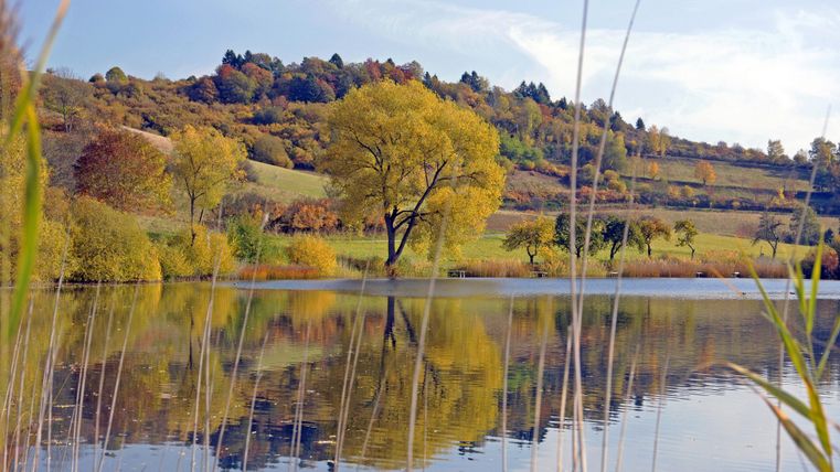 Ein ruhiger See umgeben von bunten Bäumen im Herbst. Das Wasser spiegelt die Landschaft wider.