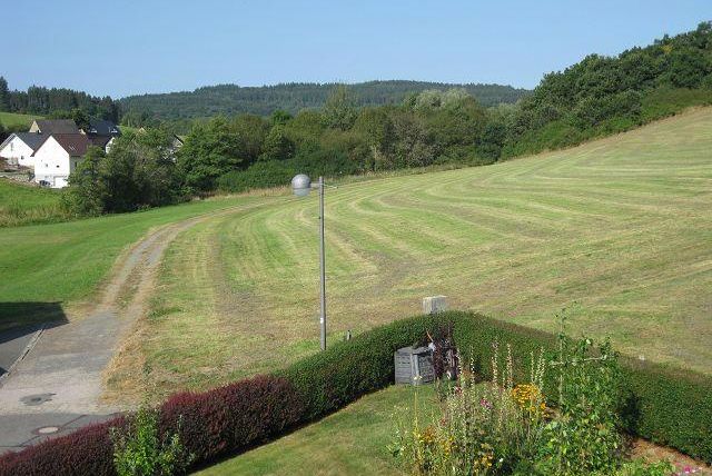 A green meadow with freshly mowed grass and trees in the background. In the foreground, there are some flowers and bushes visible.