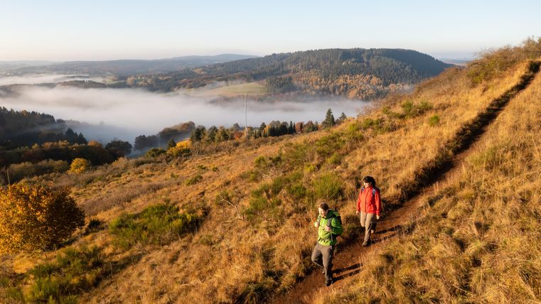 Zwei Wanderer gehen einen Hügel entlang, umgeben von goldenem Gras und sanften Hügeln. Im Hintergrund sind Nebel und hügelige Landschaften sichtbar.