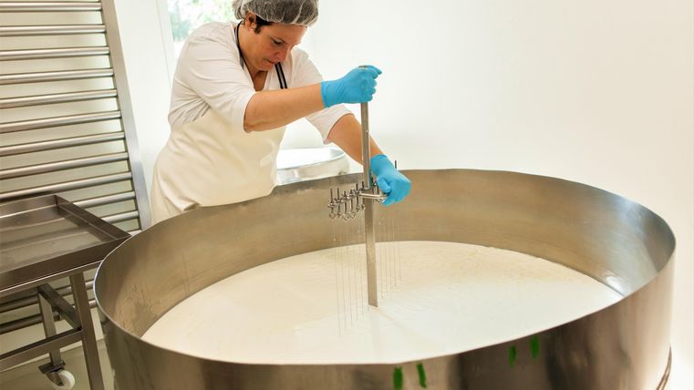 Eine Frau rührt in einem großen Behälter mit Milch. Sie trägt eine Schürze und Handschuhe in einem modernen Arbeitsumfeld.