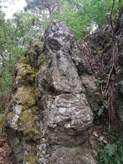A large, moss-covered rock stands among trees. The image showcases the natural beauty of the surroundings.