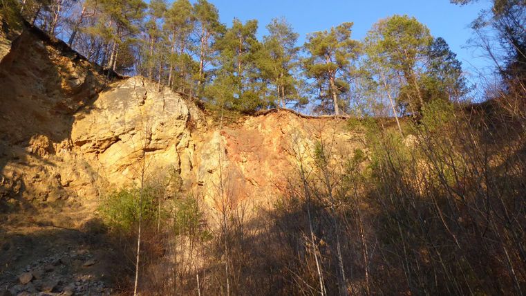 A steep cliff with trees at the top edge. The sky is clear and the ground is made of rocks and dry bushes.