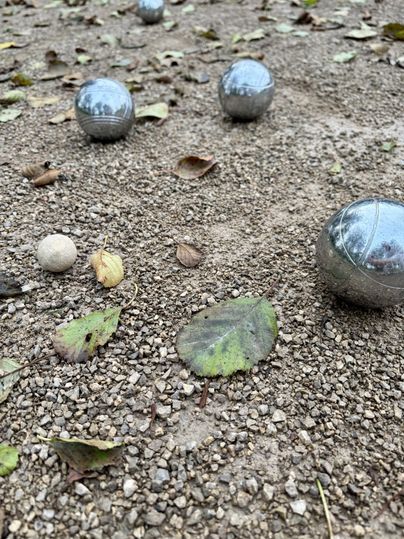 An outdoor boules court with several silver balls and a white target ball. The ground is covered with leaves and soil.
